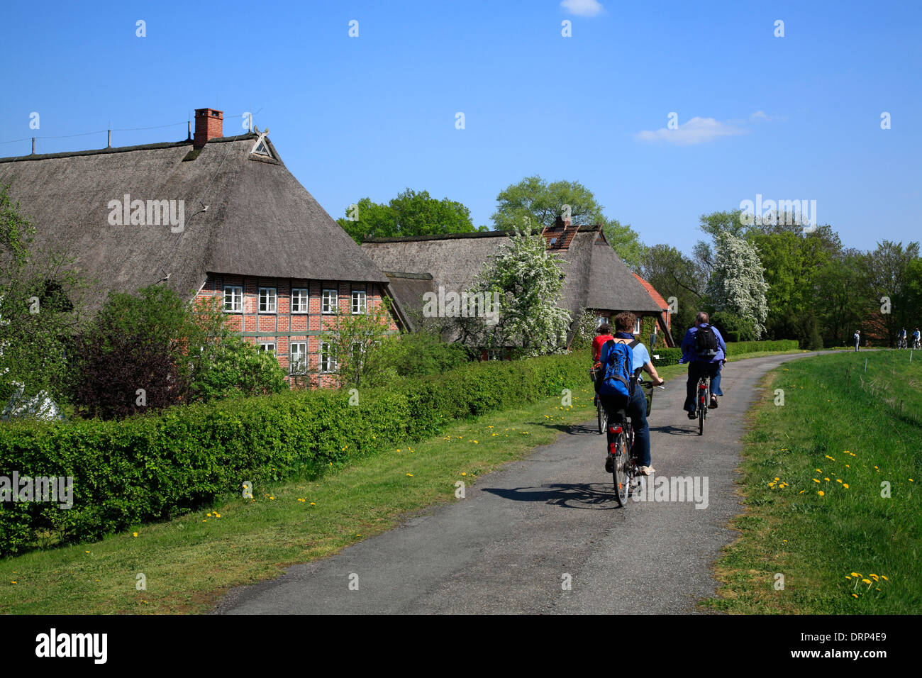 Les cyclistes sur route du cycle de l'Elbe, Marschhufendorf Konau, Amt Neuhaus Elbe, Basse-Saxe, Europe Banque D'Images