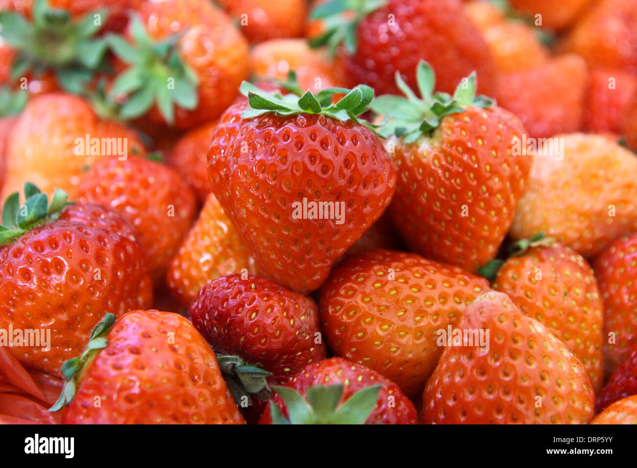 Fraises fraîches Banque D'Images