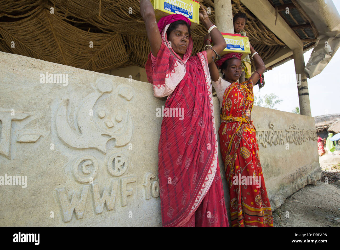 Un projet du WWF à fournir de l'électricité à une île isolée dans les Sunderbans, une zone de basse altitude du delta du Gange dans l'Est de l'Inde, qui est très vulnérable à la montée du niveau de la mer. Avant ce projet, les agriculteurs de subsistance n'avait pas accès à l'électricité. Le projet comprend de grandes batteries de charge à partir de panneaux solaires. Chaque villageois recueille une batterie pour alimenter l'éclairage des foyers, et retourne à la station de recharge une fois par semaine pour recharger leur batterie. Cette photo montre le village des femmes portant des batteries lourdes (20Kg) Banque D'Images