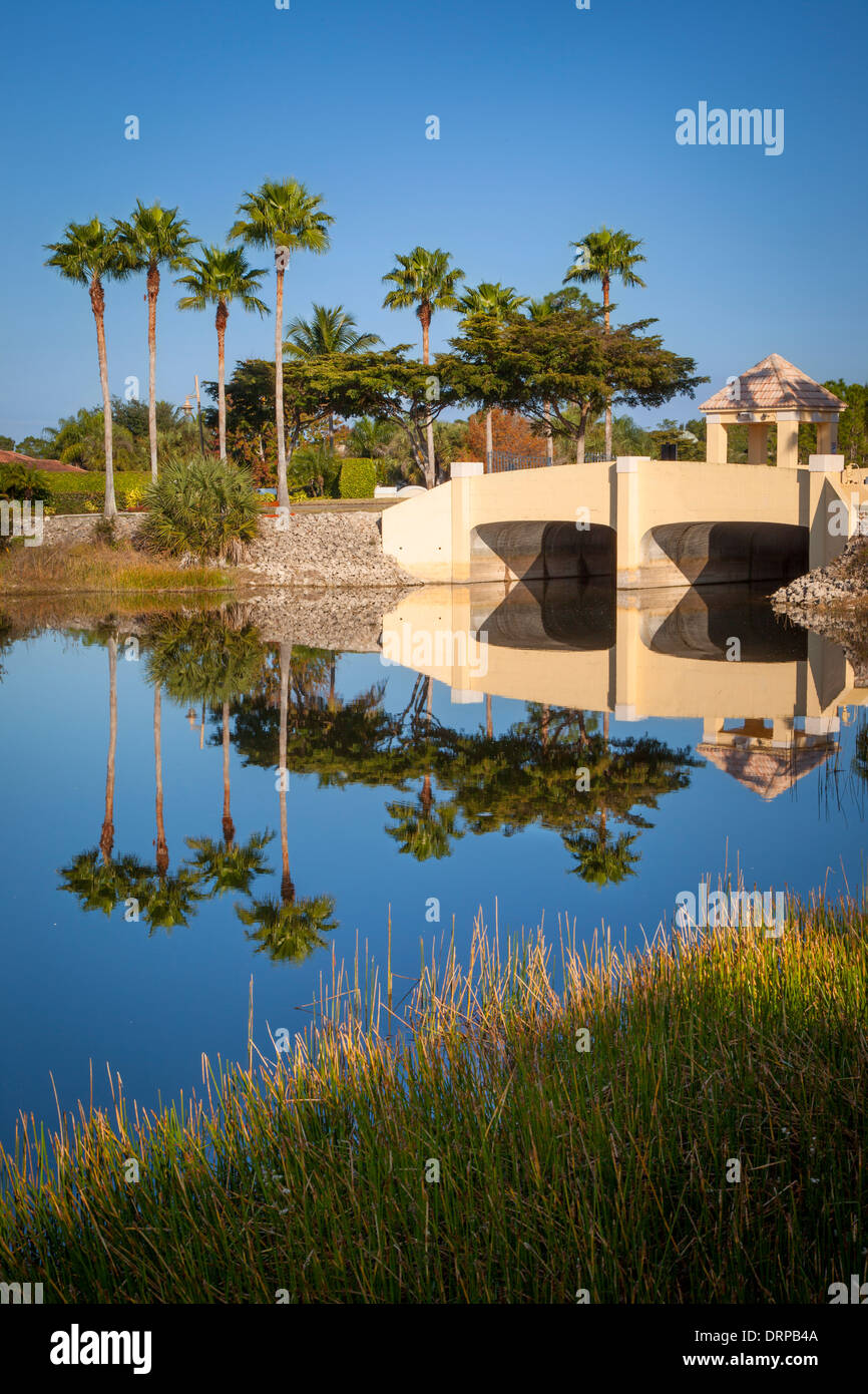 Pont et palmiers sur canal près de Naples, Floride, USA Banque D'Images