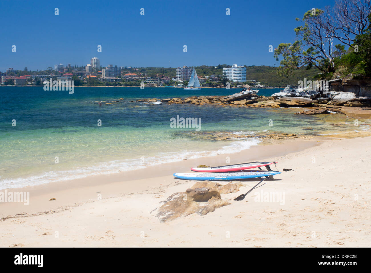 Reef Beach North Harbour à l'ensemble de Manly avec planches et paddleboards sur du sable Sydney NSW Australie Nouvelle Galles du Sud Banque D'Images