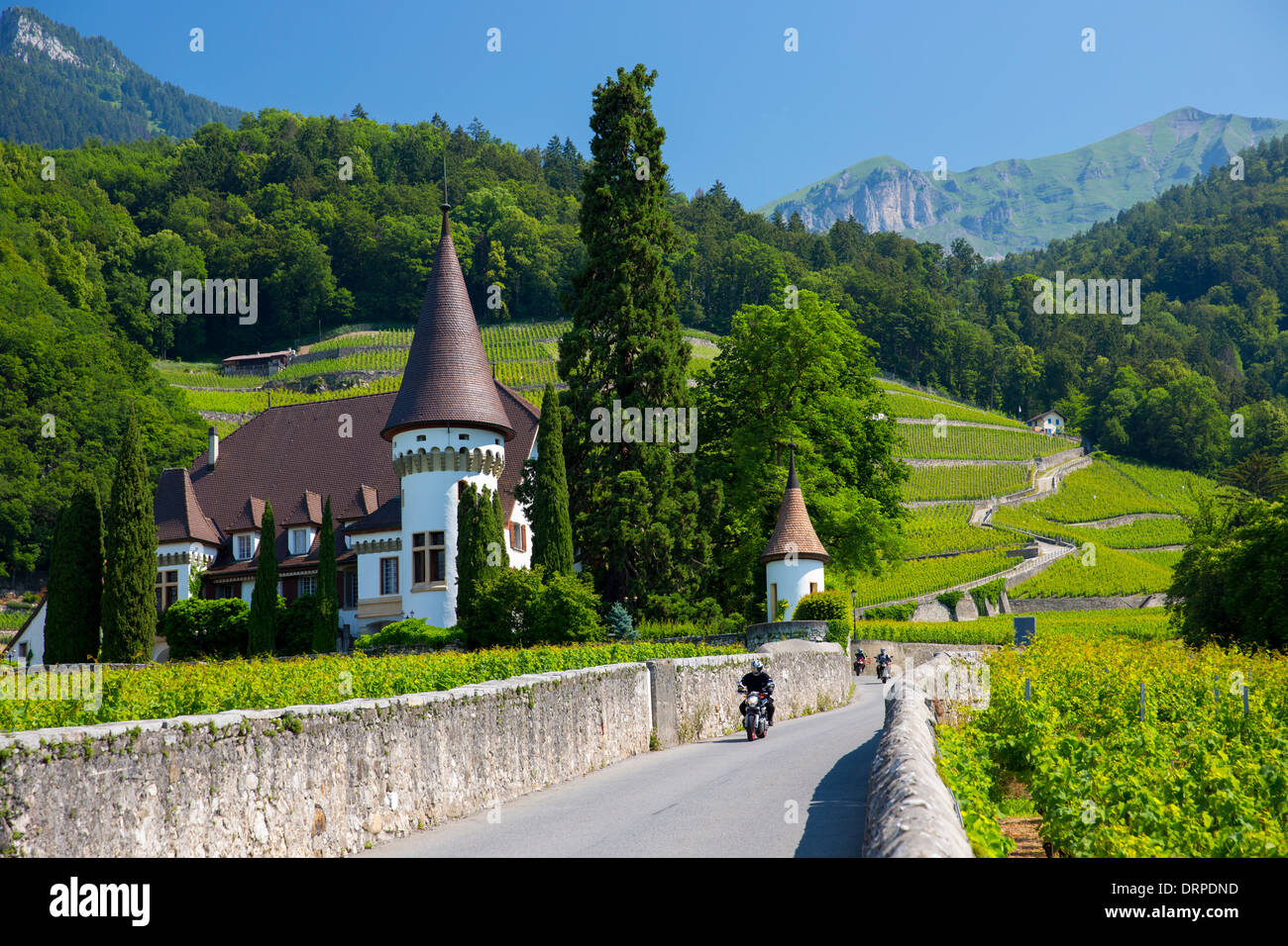 Wine Estate, château Maison Blanche à Yvorne, dans la région du Chablais de la Suisse Banque D'Images