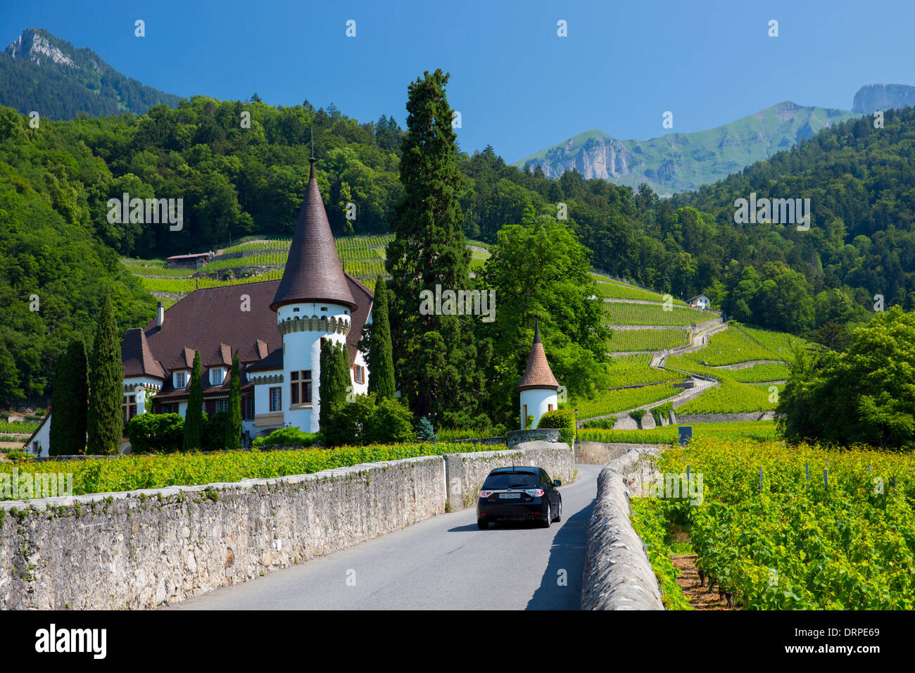 Suburu bicorps automobile passe wine estate, château Maison Blanche à Yvorne, dans la région du Chablais de la Suisse Banque D'Images