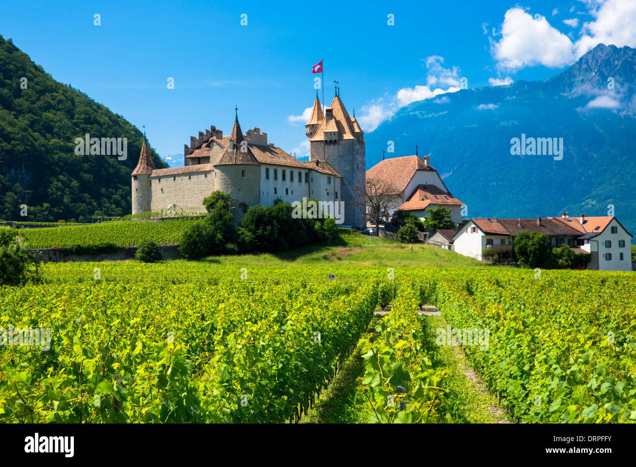 Chablais vignes en face du château de Aigle et le village d'Aigle dans la région du Chablais de la Suisse Banque D'Images
