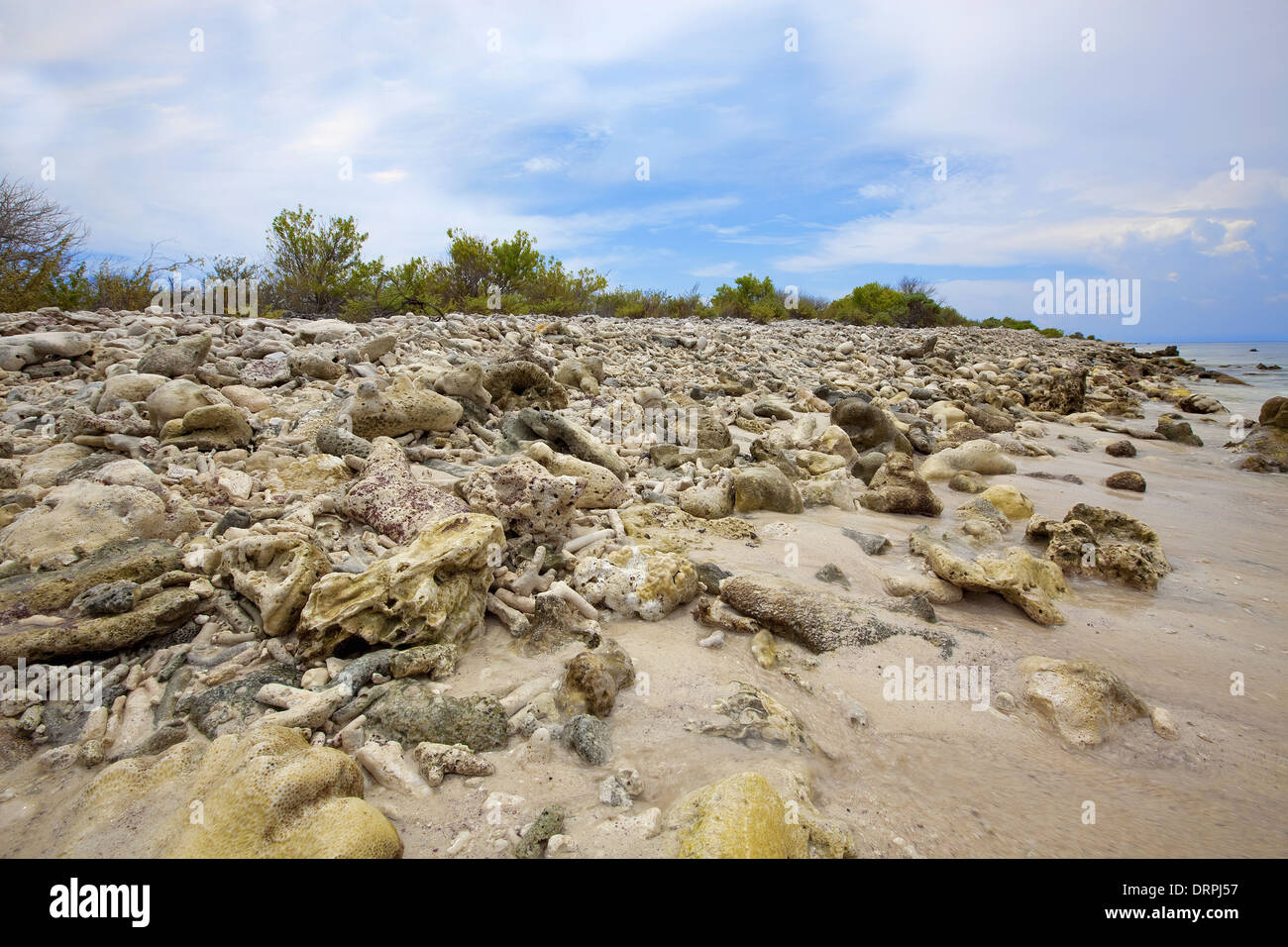 Coral Beach sur Klein Bonaire (peu) Banque D'Images