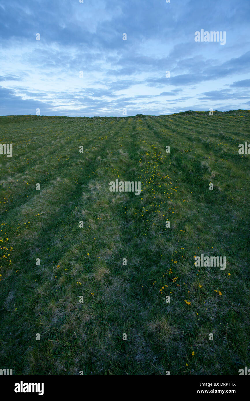 Vieux lits paresseux sur Inishmurray island, Comté de Sligo, Irlande. Banque D'Images