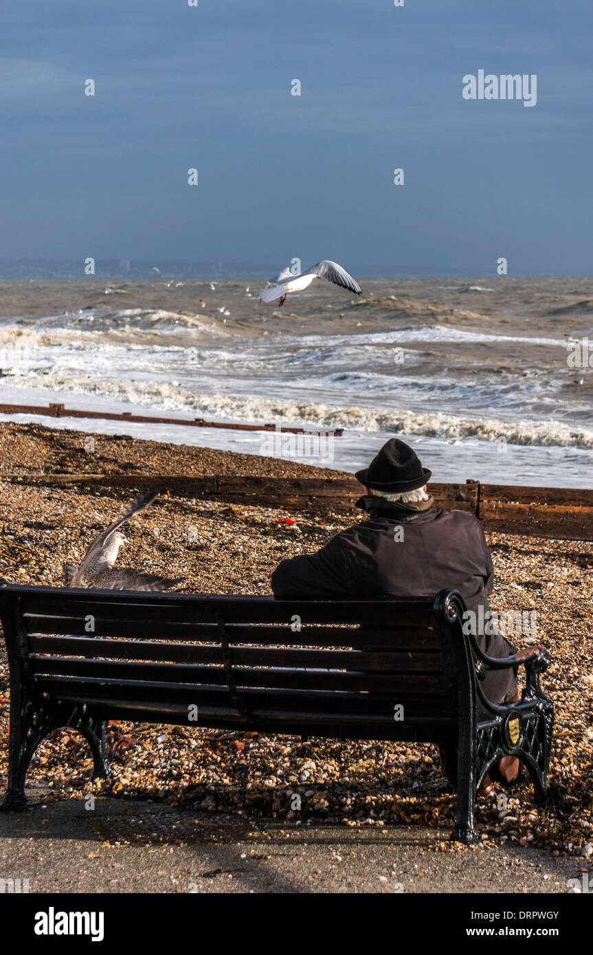 Homme dans un chapeau assis sur un banc, regardant la mer et les mouettes au bord de l'eau à Worthing, West Sussex, Angleterre, Royaume-Uni. Banque D'Images