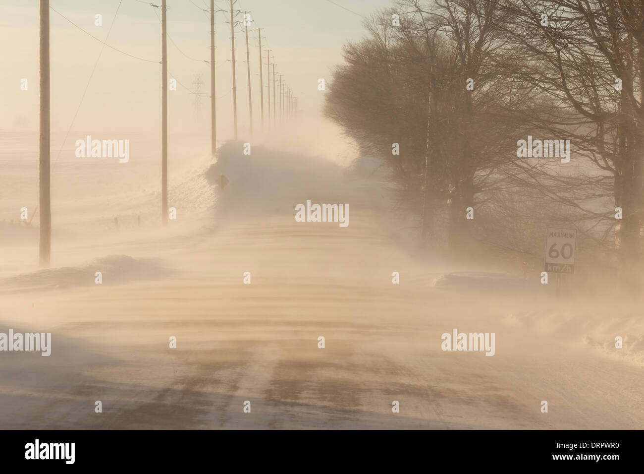 Vent persistant et la poudrerie créer un blizzard de surface dans les régions rurales du sud de l'Ontario, forçant la fermeture de certaines routes Banque D'Images