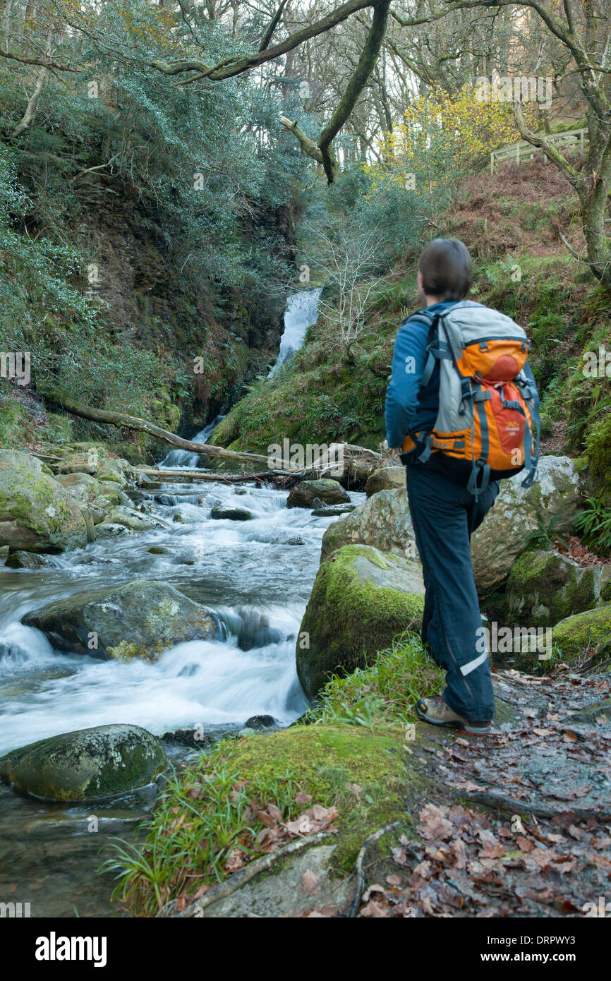 Pollanass Walker admirant une cascade, Glendalough, Wicklow Mountains National Park, comté de Wicklow, en Irlande. Banque D'Images