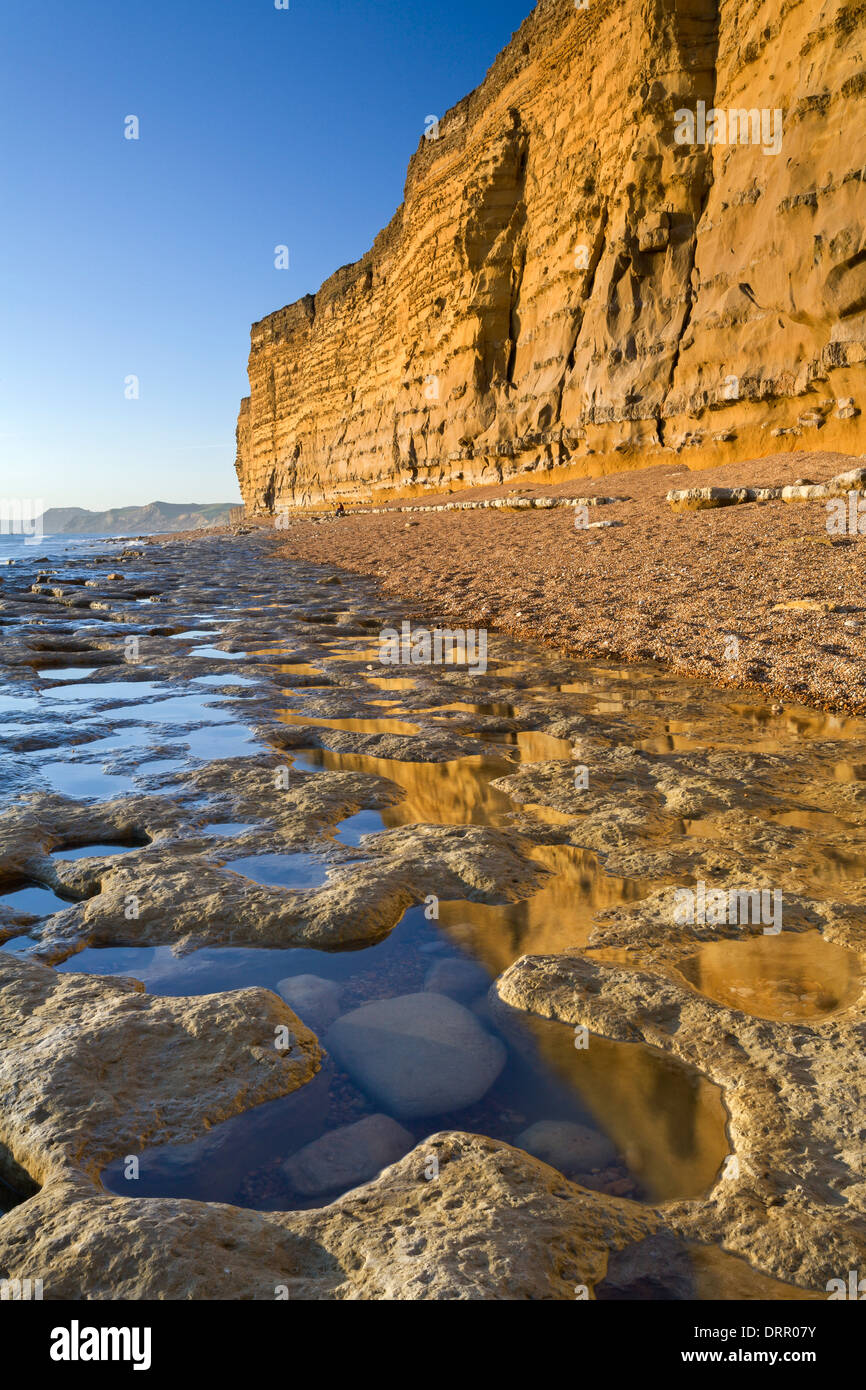 Exposés des corniches et rockpools ruche à plage, Burton Bradstock sur la côte jurassique, Dorset, Angleterre. Banque D'Images