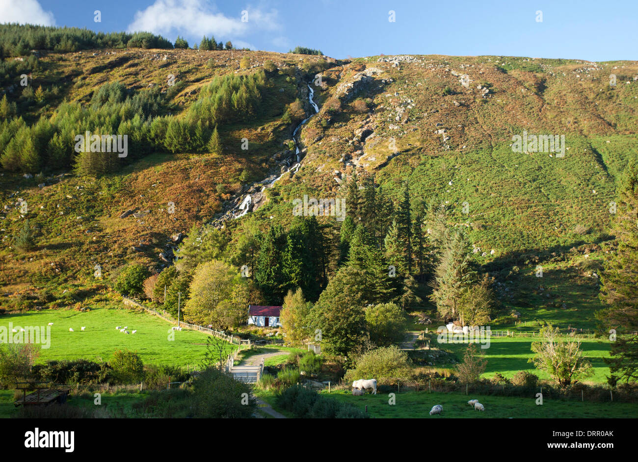 Chute d'Carrawaystick s'élève au-dessus d'une ferme à Glenmalure, Montagnes de Wicklow, comté de Wicklow, en Irlande. Banque D'Images