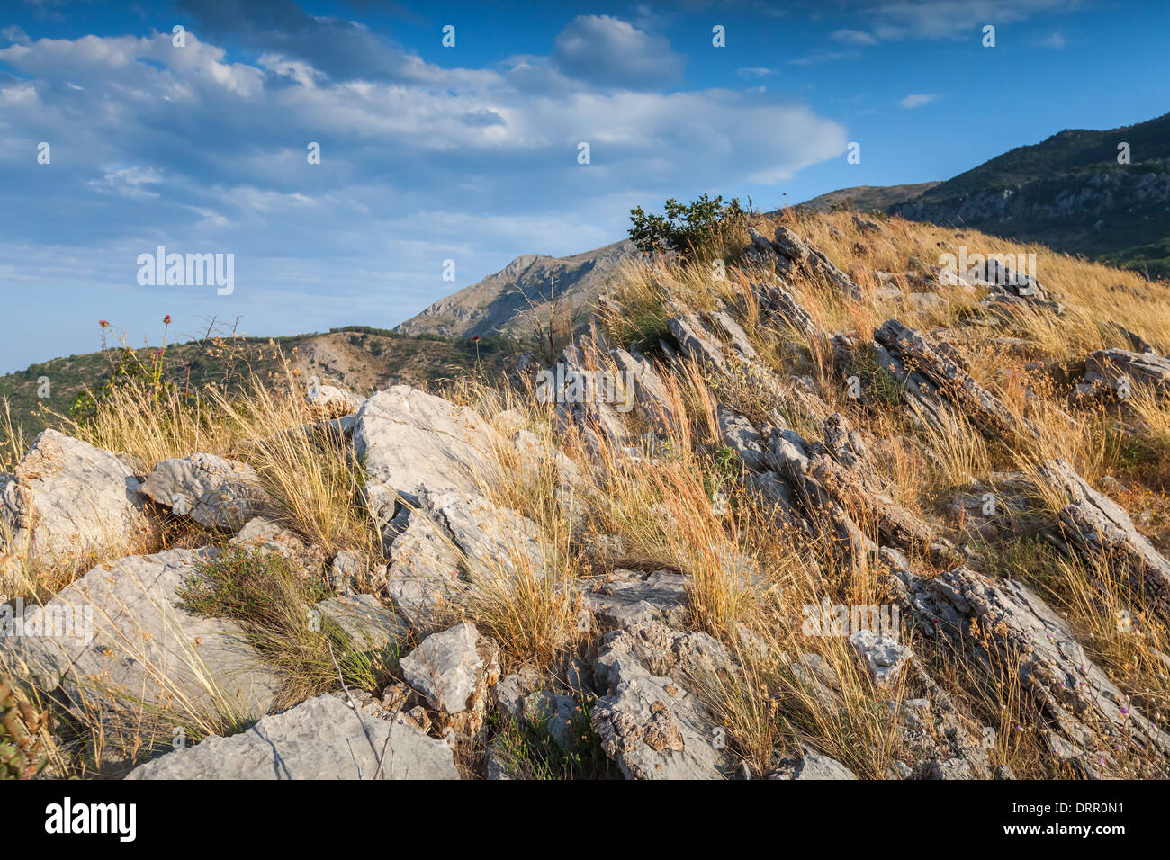 Le Monténégro. Paysage de montagne avec de l'herbe sèche qui poussent sur la roche Banque D'Images