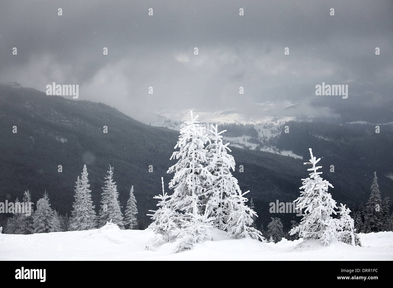 Météo Tempête Banque D'Images