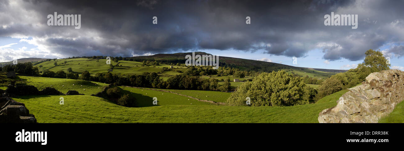 Yorkshire Dales Swaledale panoramique Banque D'Images