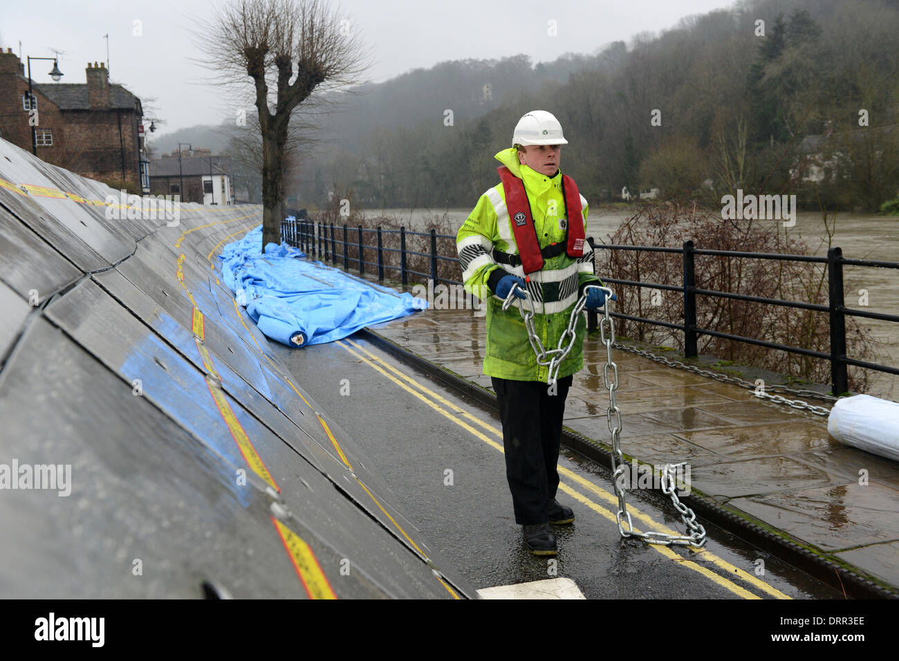 Ironbridge Shropshire Uk d'alerte aux crues le 31 janvier 2014. Le personnel de l'Agence de l'environnement préparer l'inondation barrières comme l'augmentation du fleuve Severn éclate c'est les banques. Crédit : David Bagnall/Alamy Live News Banque D'Images