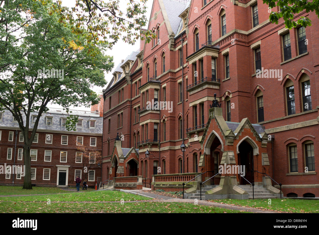 Bâtiment sur le campus de l'Université de Harvard, Boston, Massachusetts, USA Banque D'Images