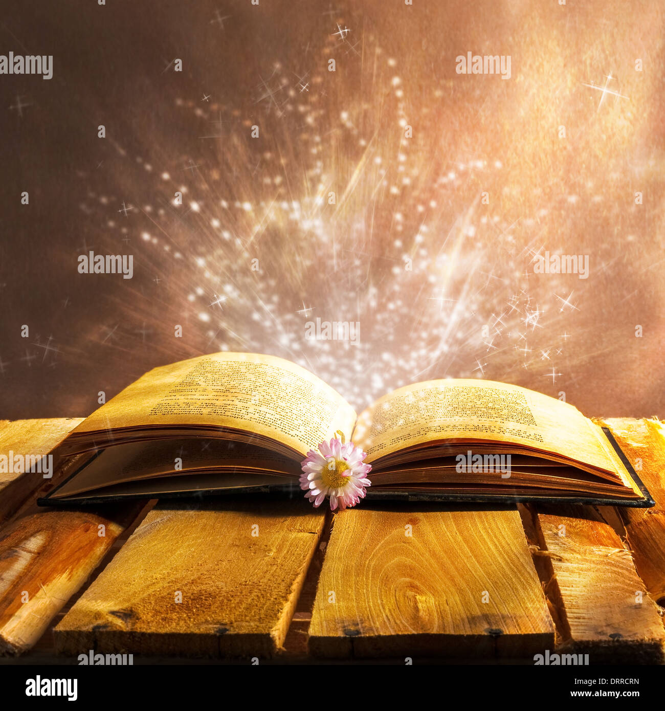 Magic livre ouvert Banque D'Images