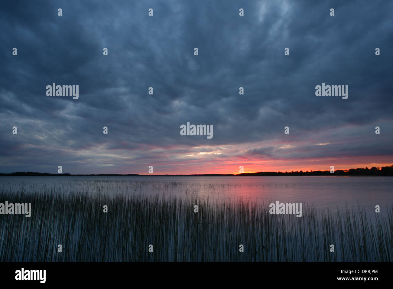 Ciel dramatique au lac Saadjärv au coucher du soleil. L'Estonie, Europe Banque D'Images