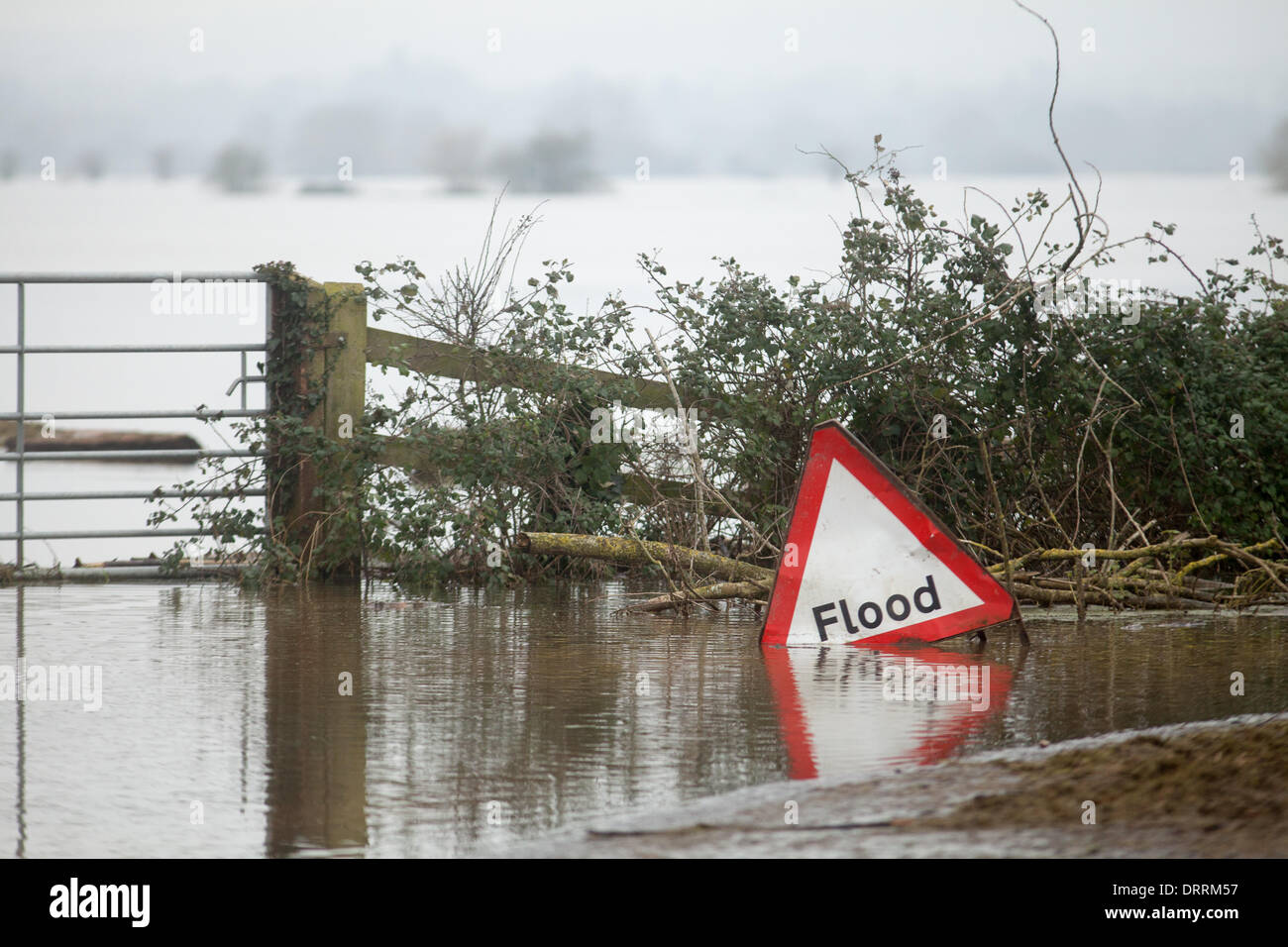Somerset Burrowbridge UK 30 janvier 2014. Signe d'inondation par l'un des nombreux champs inondés dans le Somerset. Joe Hulbert/Alamy Live News Banque D'Images