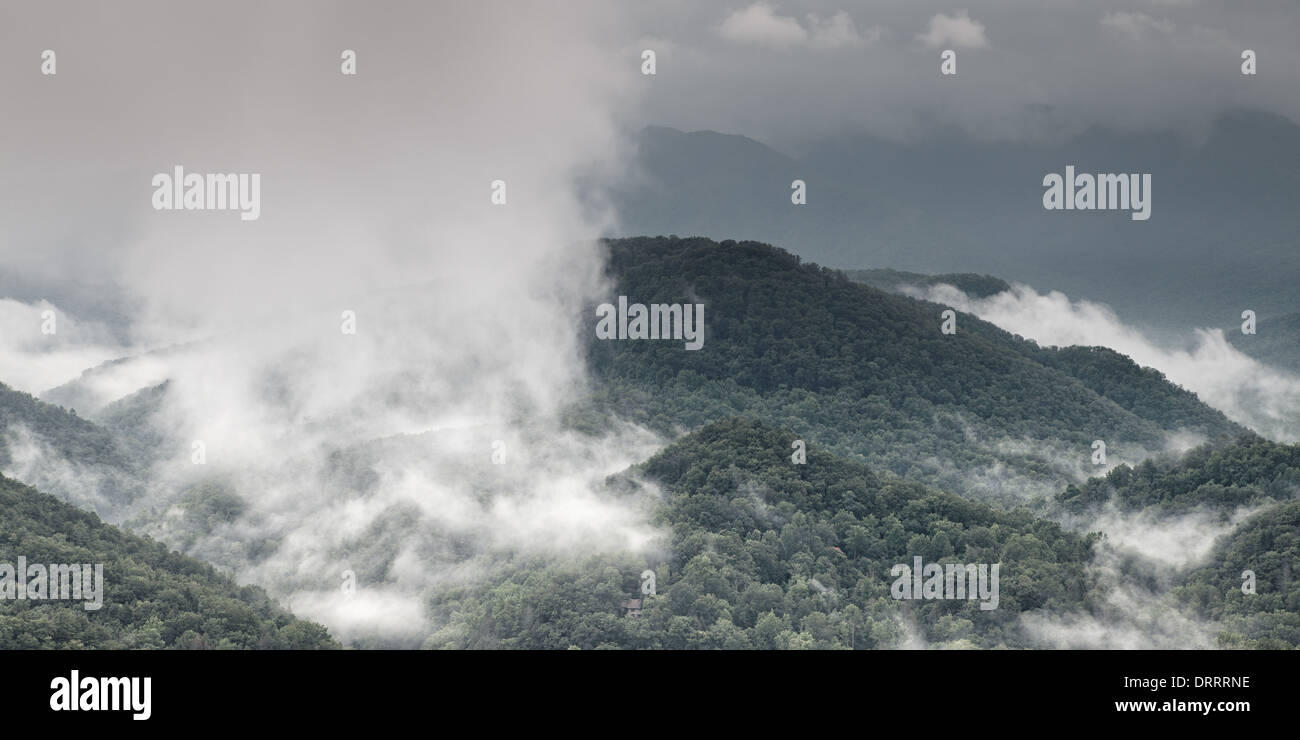 Le brouillard et la vallée de montagne nuage paysage Banque D'Images