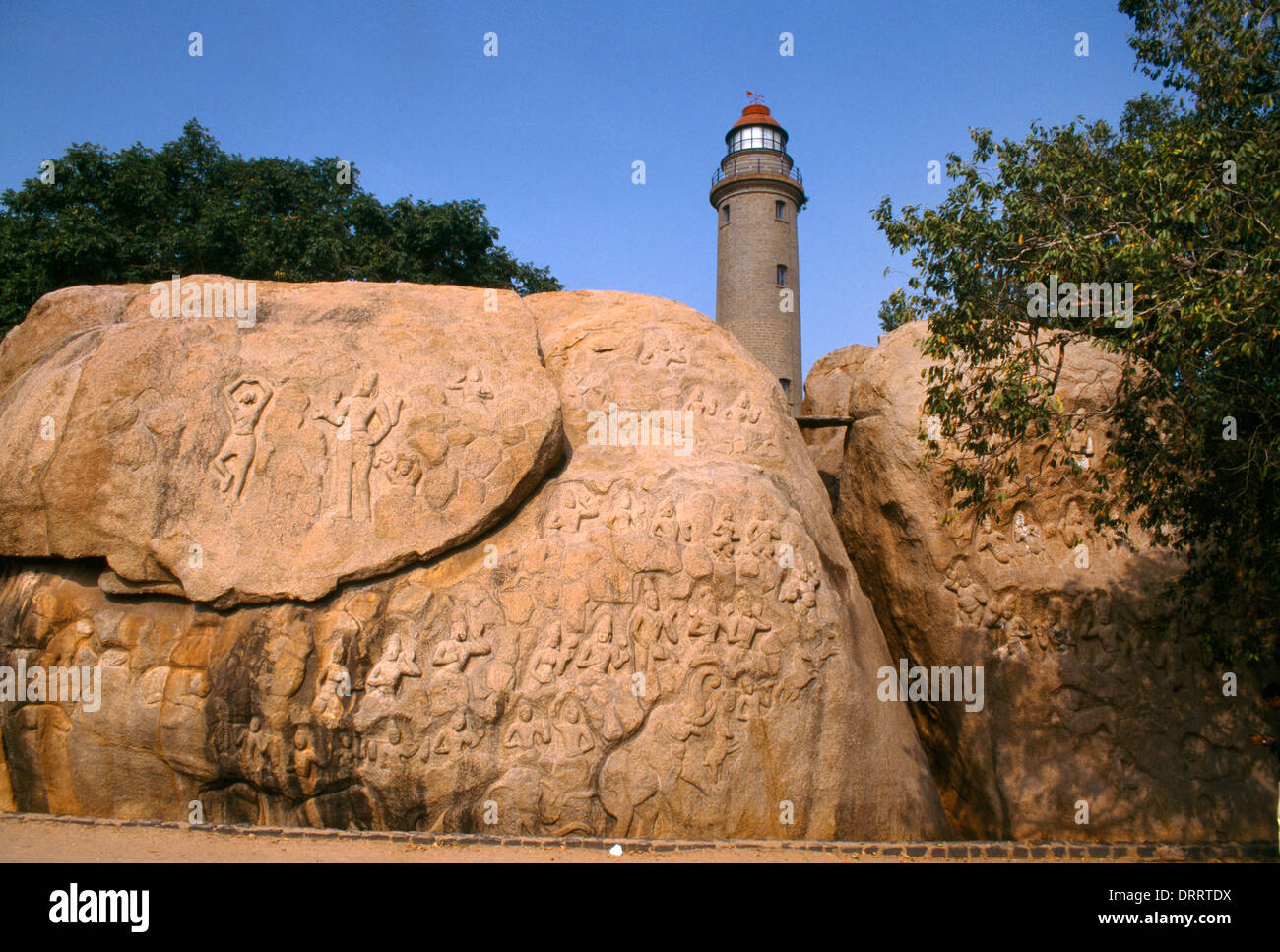 Tamil Inde Mahabalipuram Phare Nadi & Bas-relief Banque D'Images