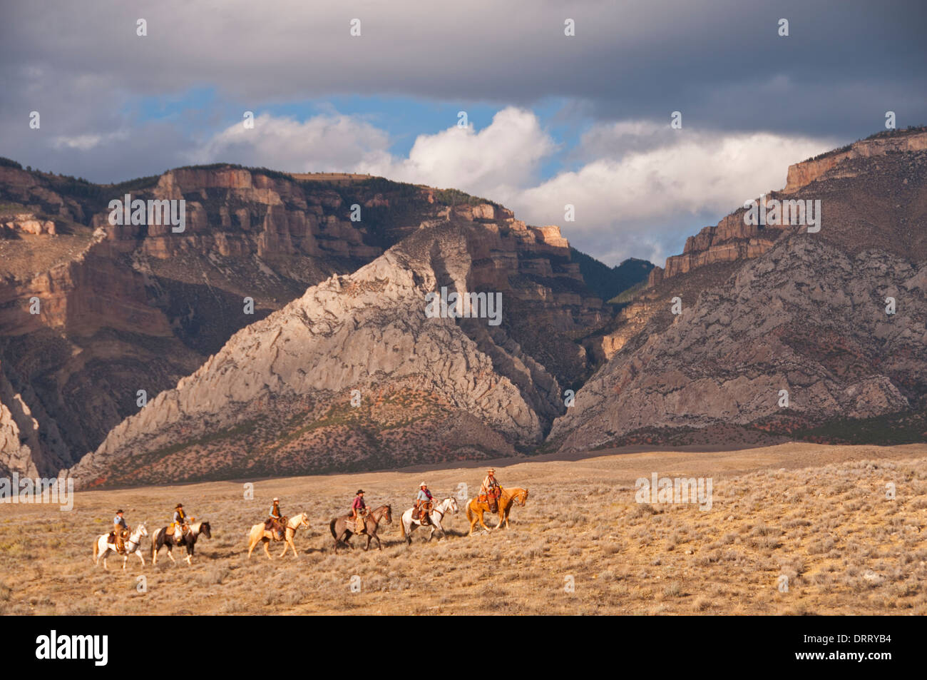 Six cowboys et cowgirls à cheval dans les monts Bighorn du Wyoming Banque D'Images