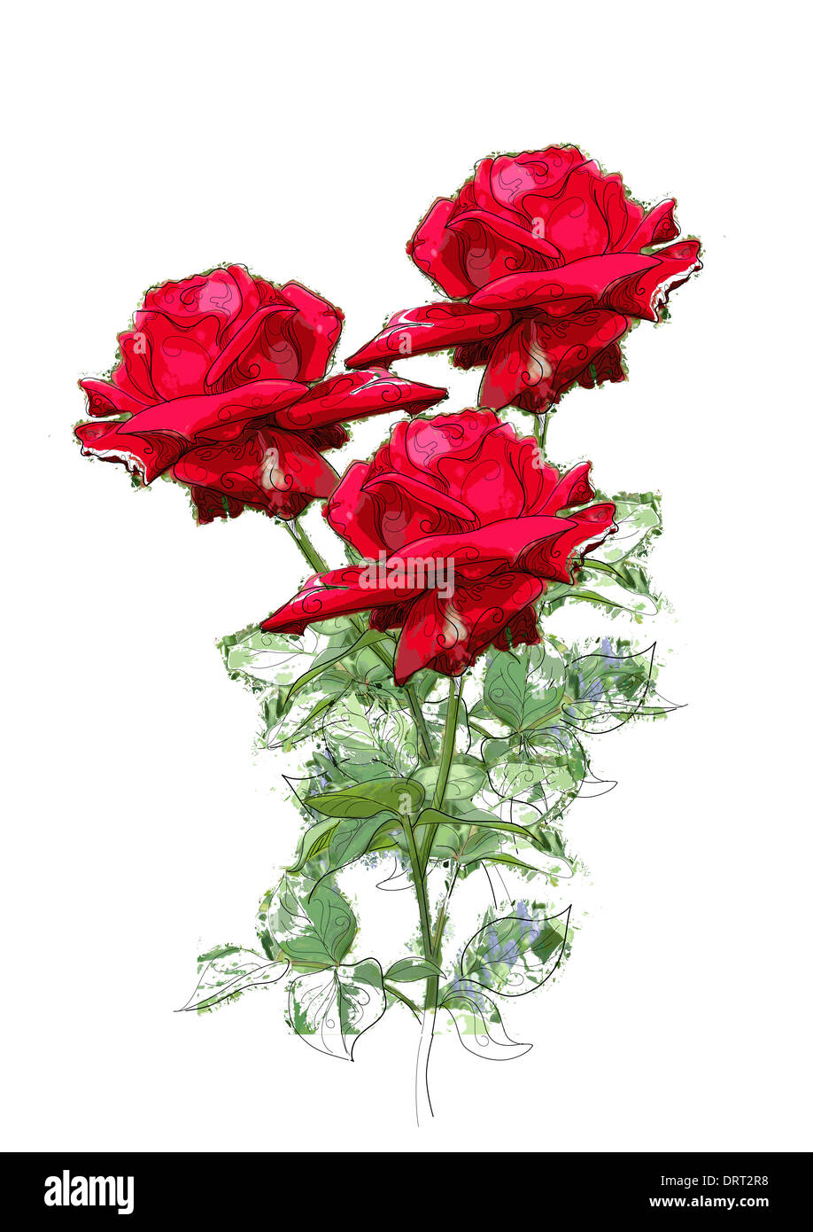 roses rouges Banque D'Images