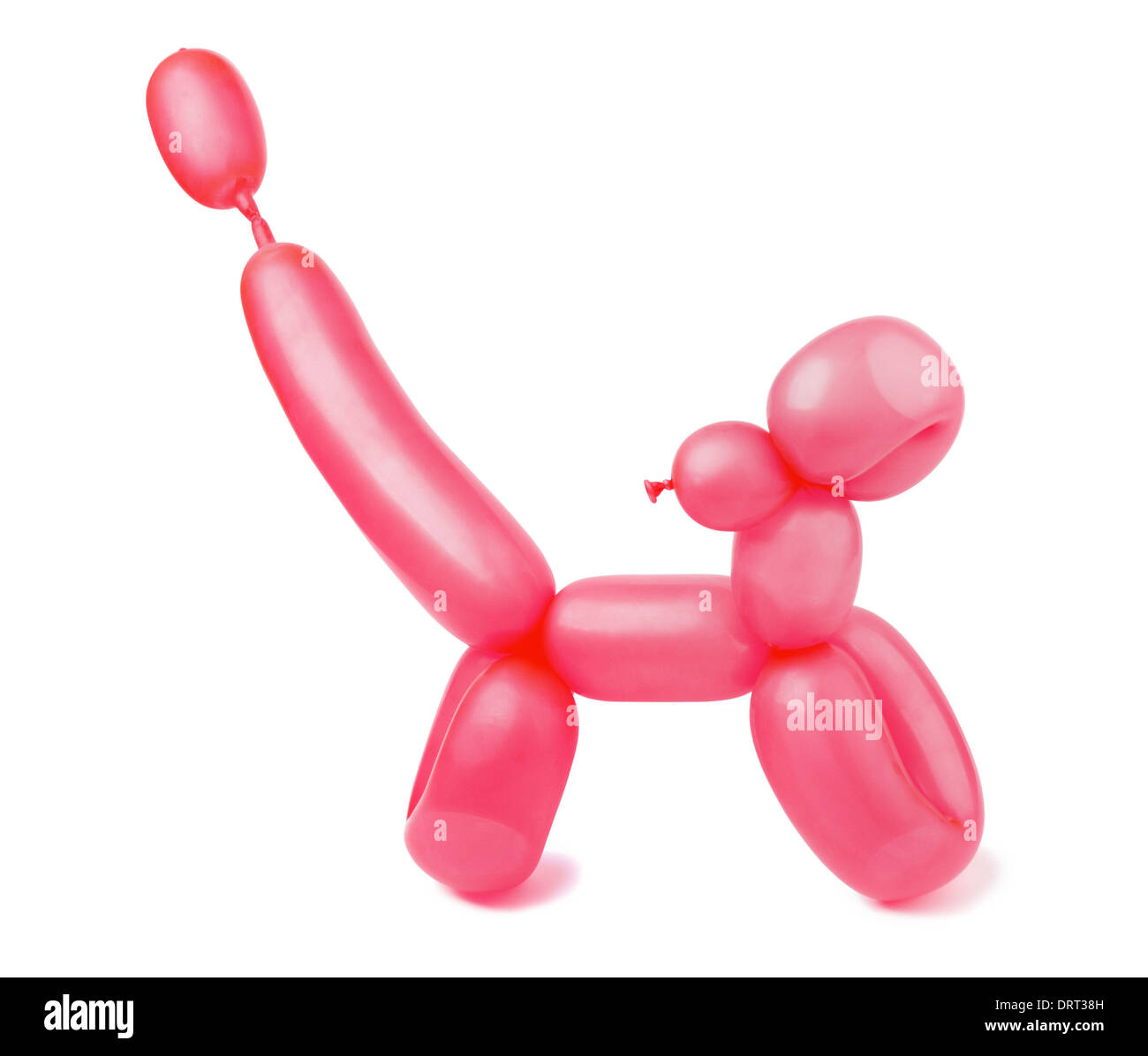 Balloon dog on a white background Banque D'Images