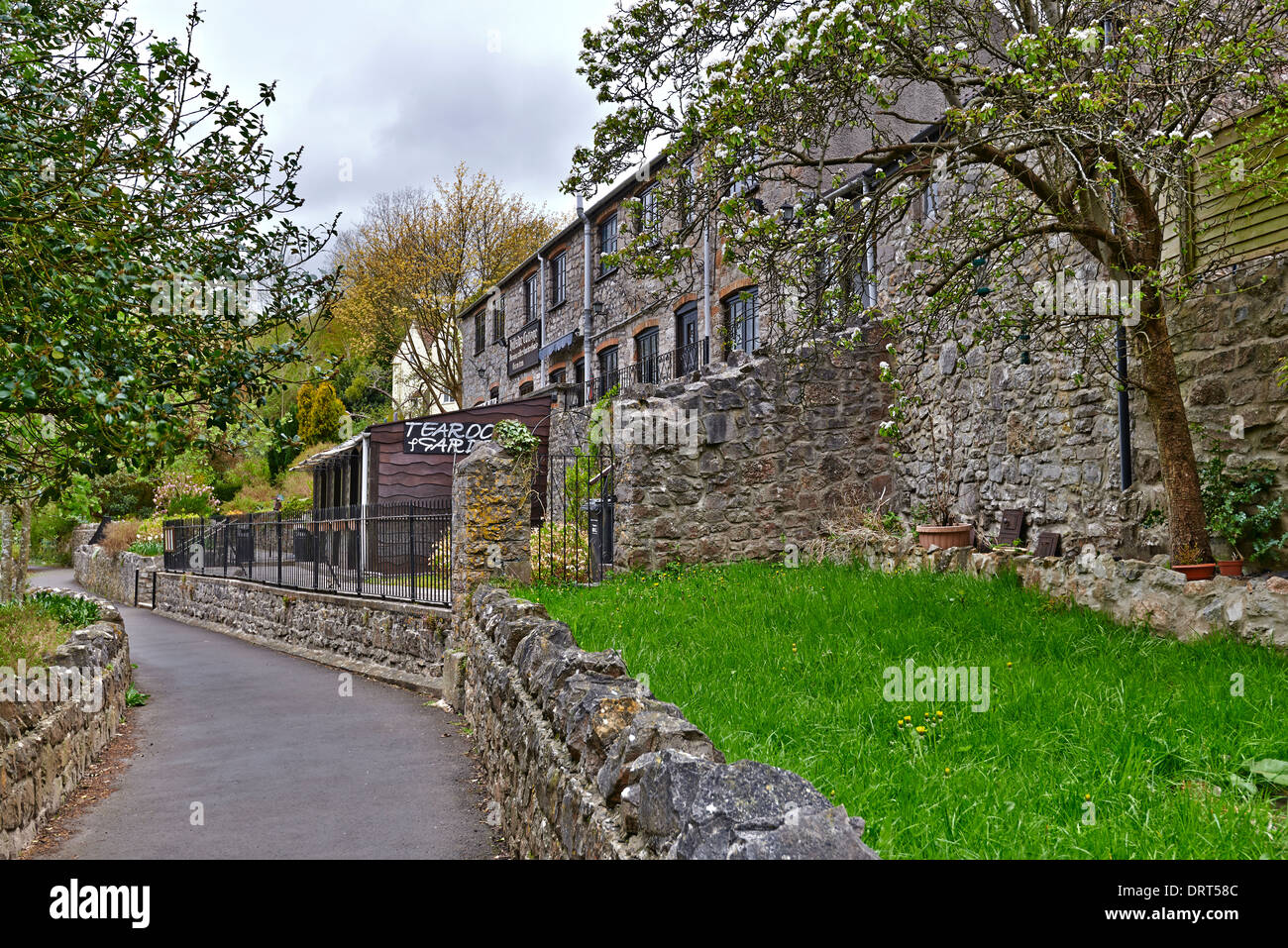 Les gorges de Cheddar est une gorge de calcaire dans les collines de Mendip, près du village de Cheddar dans le Somerset Banque D'Images