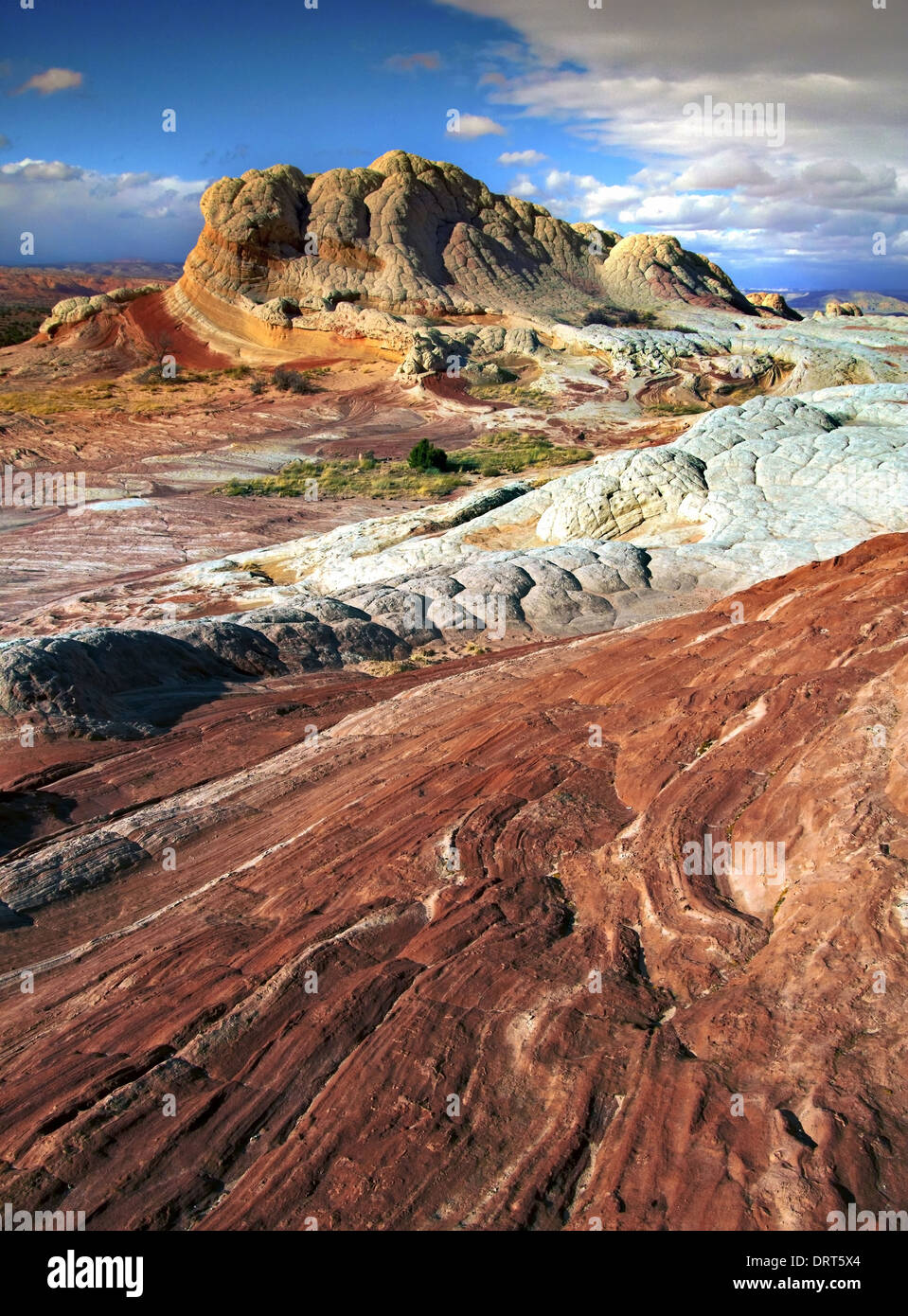 Une vue de poche blanc, Vermillion Cliffs National Monument, Arizona, USA Banque D'Images