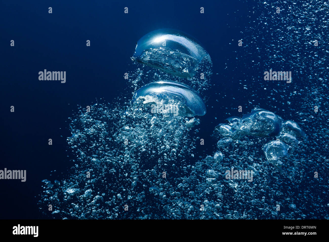 Des bulles d'air dans l'océan, l'île de Guadalupe, Mexique Banque D'Images