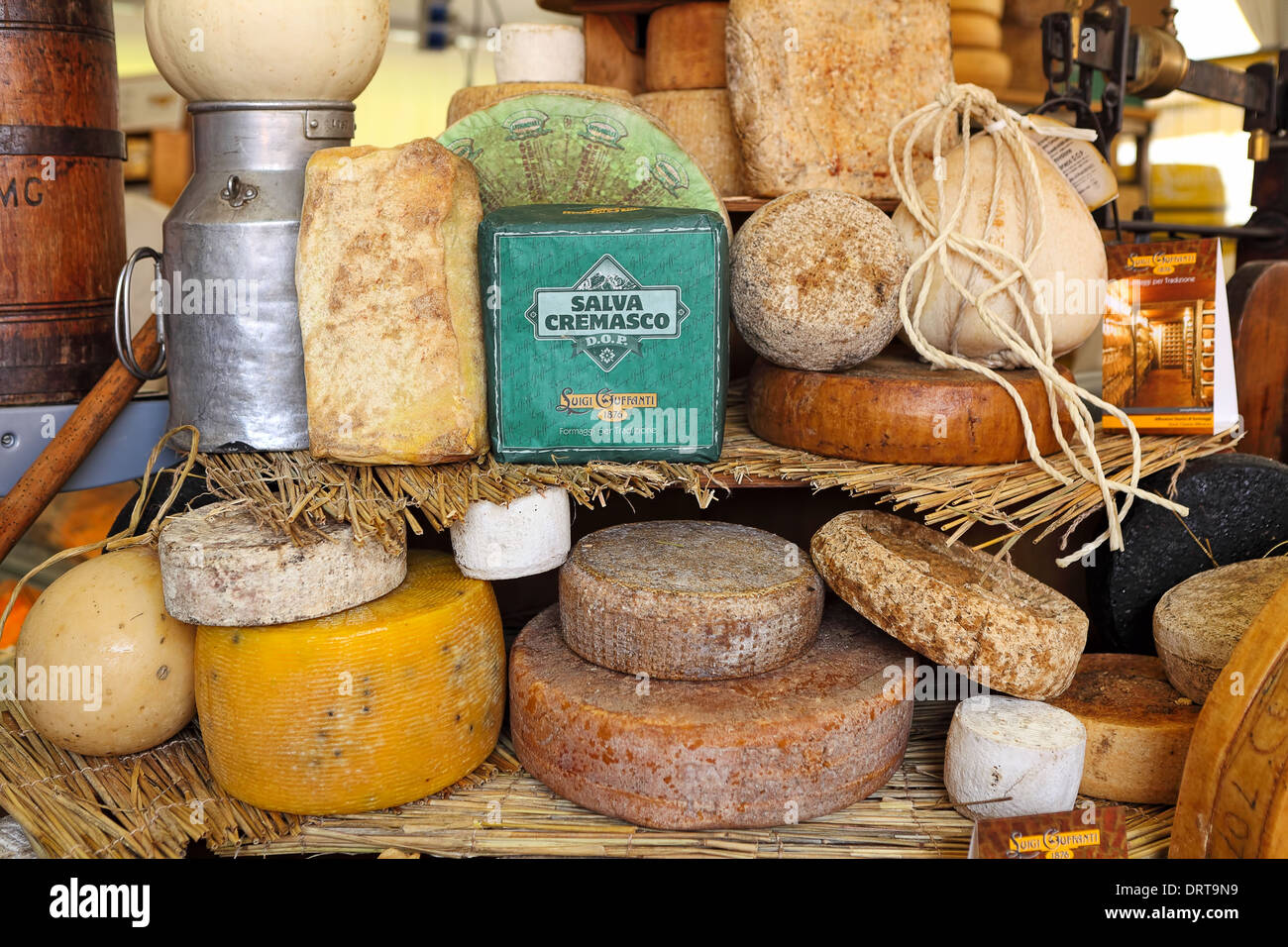 Différents types de fromage à maturité sur le stand. Banque D'Images