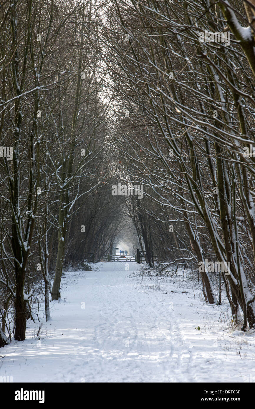 La neige et les arbres au château d'Eden Passerelle, Teesside, Angleterre Banque D'Images