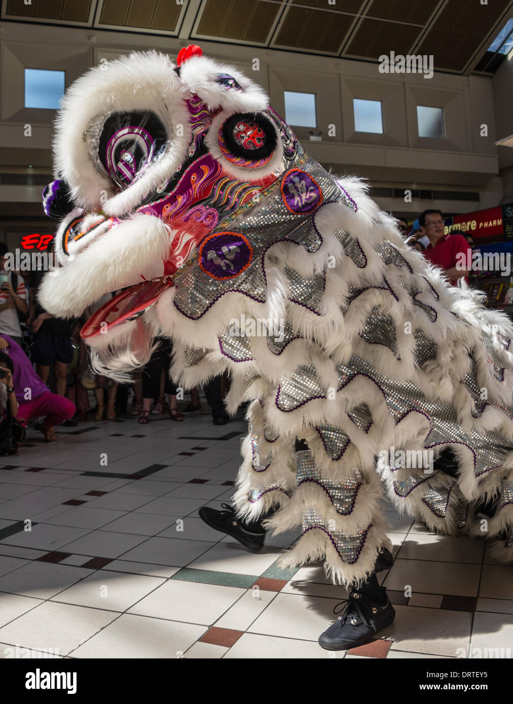 Melbourne, Australie. 06Th Feb 2014. Année du cheval dans le calendrier chinois célébré à Whitehorse Road Box Hill Victoria de Melbourne en Australie - qui a la plus grande population d'origine chinoise résidence en Australie avec un ratio de 1:5. Festivités du Nouvel An chinois sont plein de son, de couleur, de danse et de douceurs sucrées pour marquer le début d'une autre année pleine de promesses. La magnifique Parade de Choi Sun (Dieu chinois de la Fortune) s'amuser, alors qu'une visite à la statue du Bouddha géant donne quelques une chance de prier pour un avenir prospère, sûr de l'année qui vient. Credit : Dunrobin Studios/Alamy Live News Banque D'Images