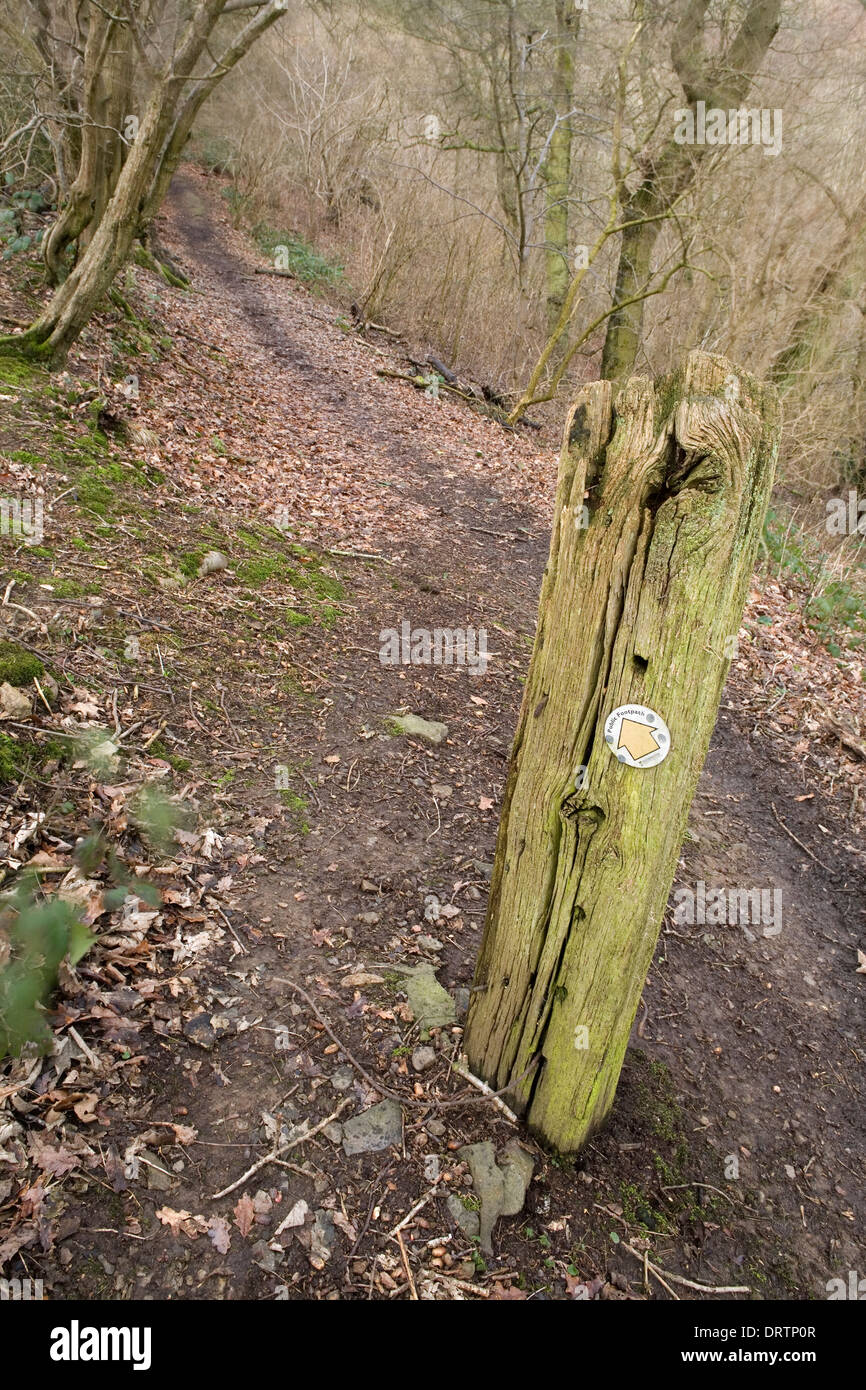 Un sentier public sign du conseil du comté de Worcestershire est cloué sur un vieux post en bois le long de la voie de chemin de terre. Banque D'Images