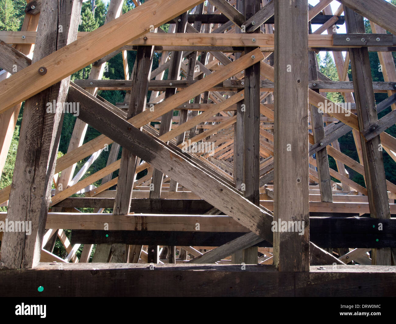 Un détail de la bois récemment restauré au viaduc ferroviaire Kinsol Banque D'Images