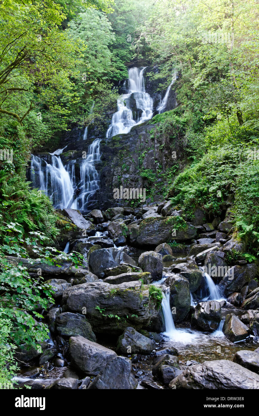 Torc Waterfall dans le Parc National de Killarney sur l'anneau de Kerry, comté de Kerry, Irlande Banque D'Images