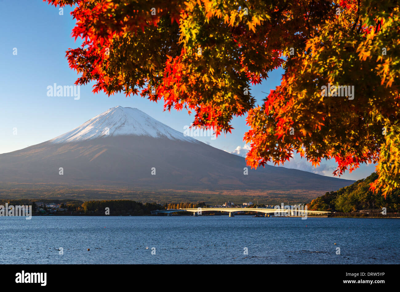 Le Mt Fuji dans la saison d'automne. Banque D'Images