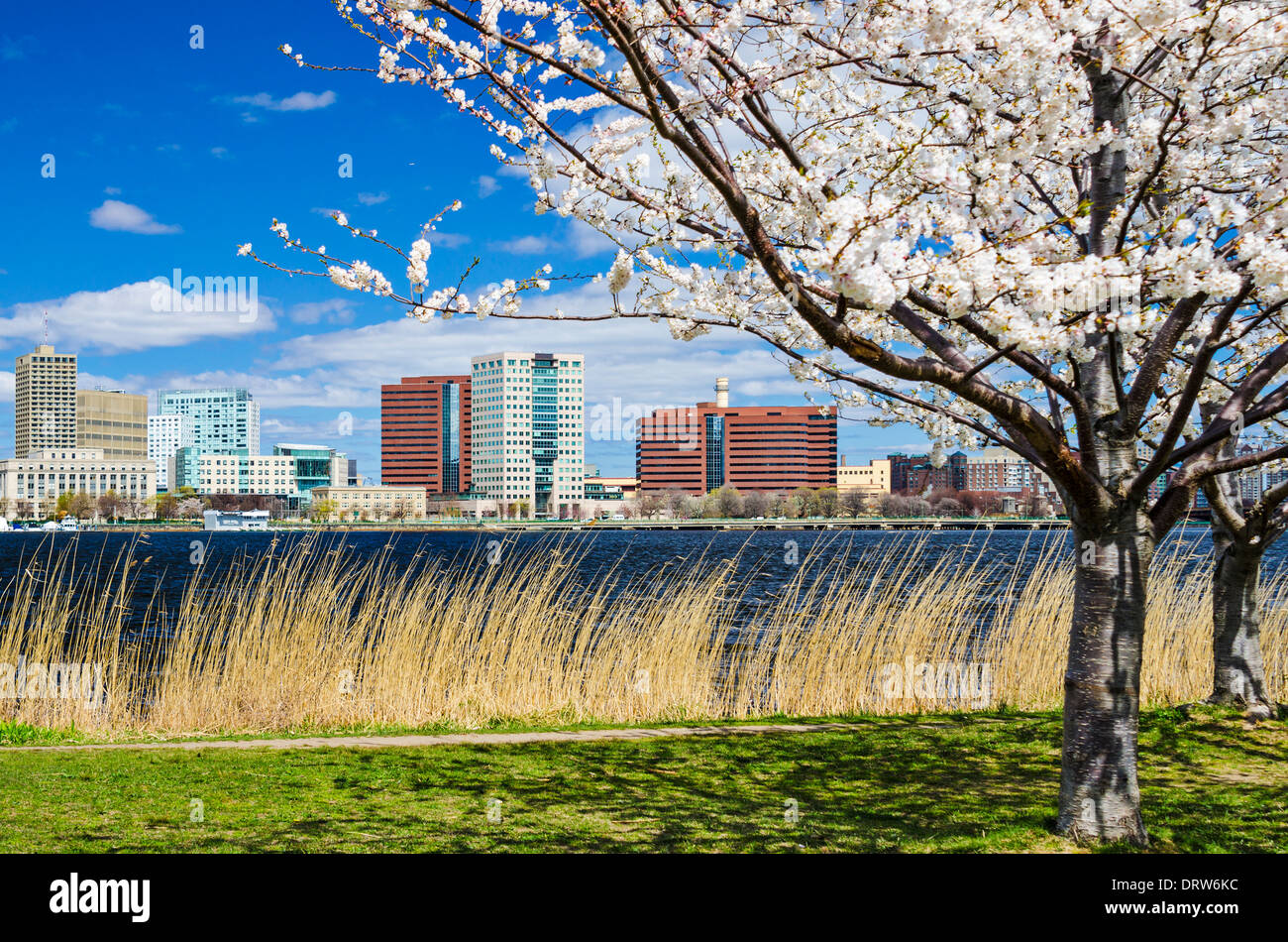 Cambridge, Massachusetts skyline au printemps. Banque D'Images