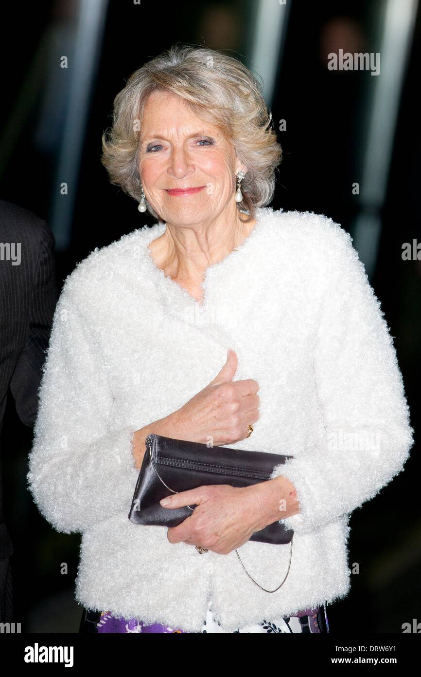 La princesse Irène des Pays-Bas assiste à la célébration nationale du règne de la Reine Beatrix à Ahoy Rotterdam, Pays-Bas, 1 février 2014. Le comité d'investiture nationale a organisé une cérémonie pour remercier Béatrix pour son règne 33 comme Reine des Pays-Bas avec le spectacle 'Beatrix, rencontré Hart en Ziel' (avec coeur et âme). C'est la fin des célébrations organisées par le Comité d'investiture. La princesse Beatrix était la reine du 30 avril 1980 au 30 avril 2013. Photo : Patrick van Katwijk / Pays-Bas ET FRANCE OUT -AUCUN SERVICE DE FIL- Banque D'Images