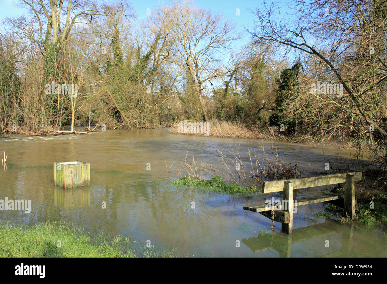 Leatherhead, Surrey, Angleterre, Royaume-Uni. 2 février 2014. Après les niveaux exceptionnels de l'eau de pluie à travers le Royaume-Uni, la rivière Mole a éclaté ses banques dans de nombreux endroits à Surrey. Ici dans le sentier Riverside Leatherhead a été englouti par le fleuve et les champs sont sous plusieurs pouces d'eau. Credit : Julia Gavin/Alamy Live News Banque D'Images