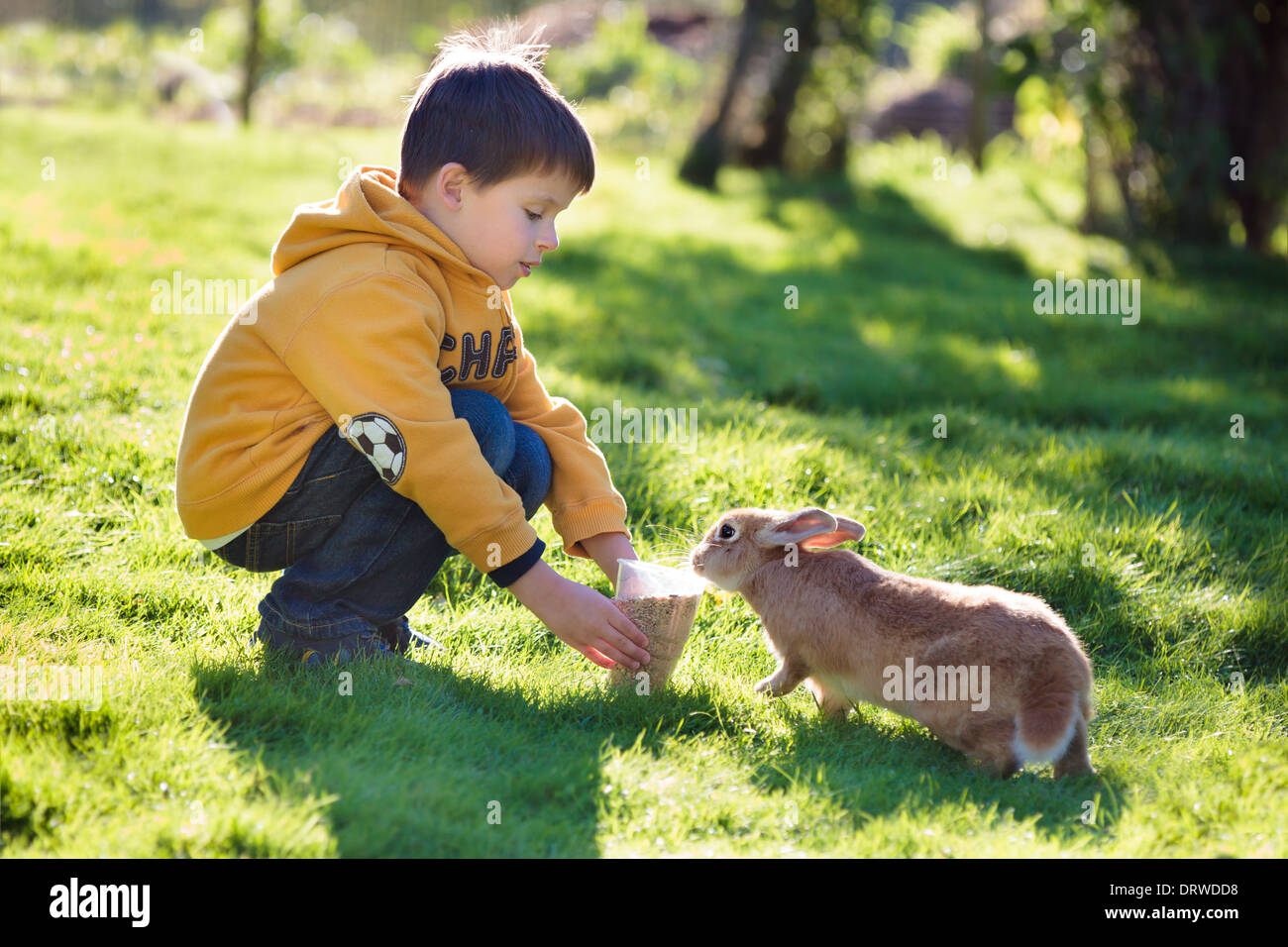 Petit garçon de ferme en lapin alimentation Banque D'Images