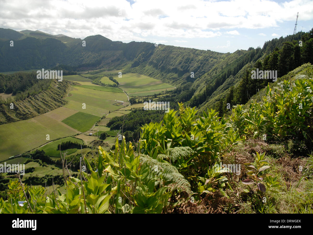 Point de vue au-dessus de la caldeira, l'île de São Miguel, Açores Banque D'Images