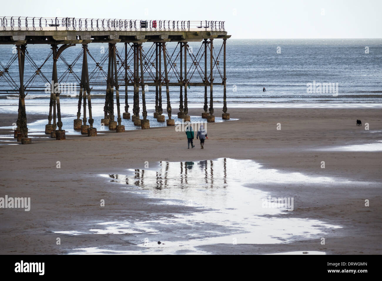 L'homme et la femme l'exercice de leur chien sur la plage d'ici la fin de la jetée à Nice à marée basse en hiver Banque D'Images