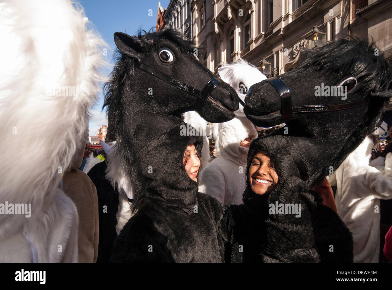 Chinatown, Londres, Royaume-Uni. 2 février 2014. Les filles habillés comme des chevaux prennent part à la parade dans le quartier chinois pour célébrer l'année de l'Horse Crédit : Stephen Chung/Alamy Live News Banque D'Images