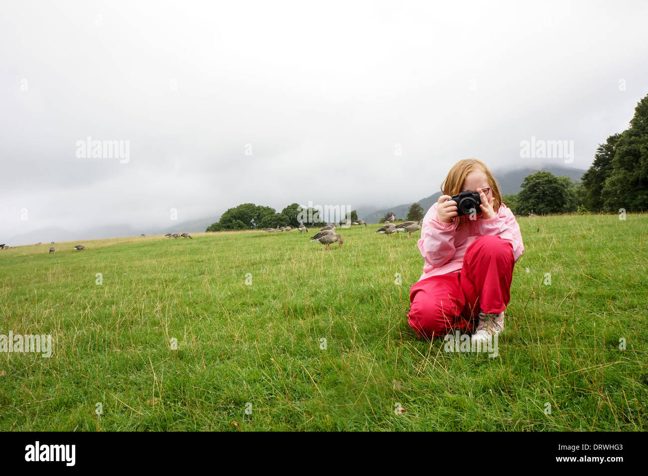 Jeune fille de prendre une photo Banque D'Images