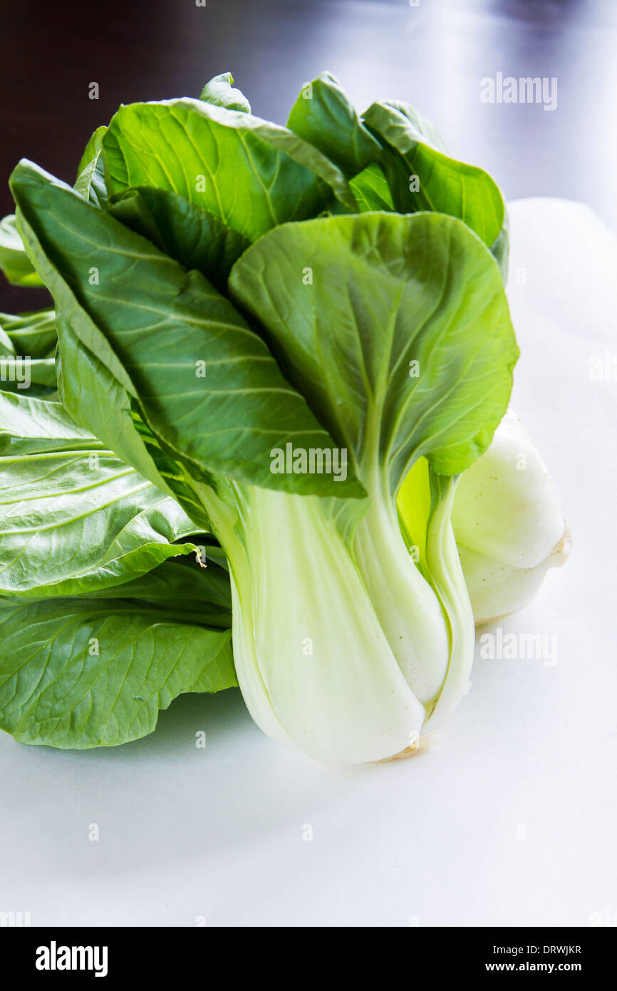 Le Bok Choy fraîche sur fond blanc Banque D'Images