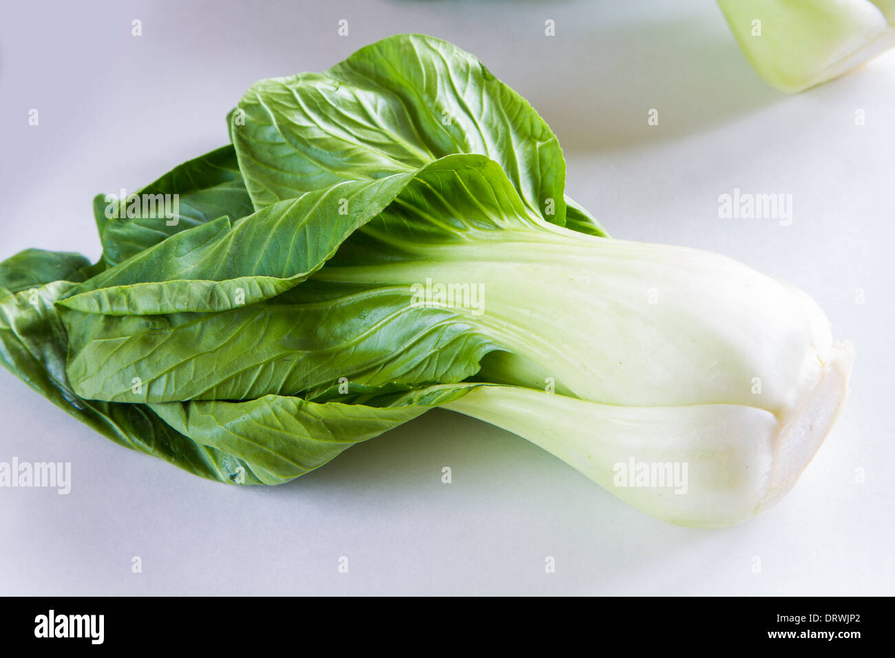 Le Bok Choy fraîche sur fond blanc Banque D'Images