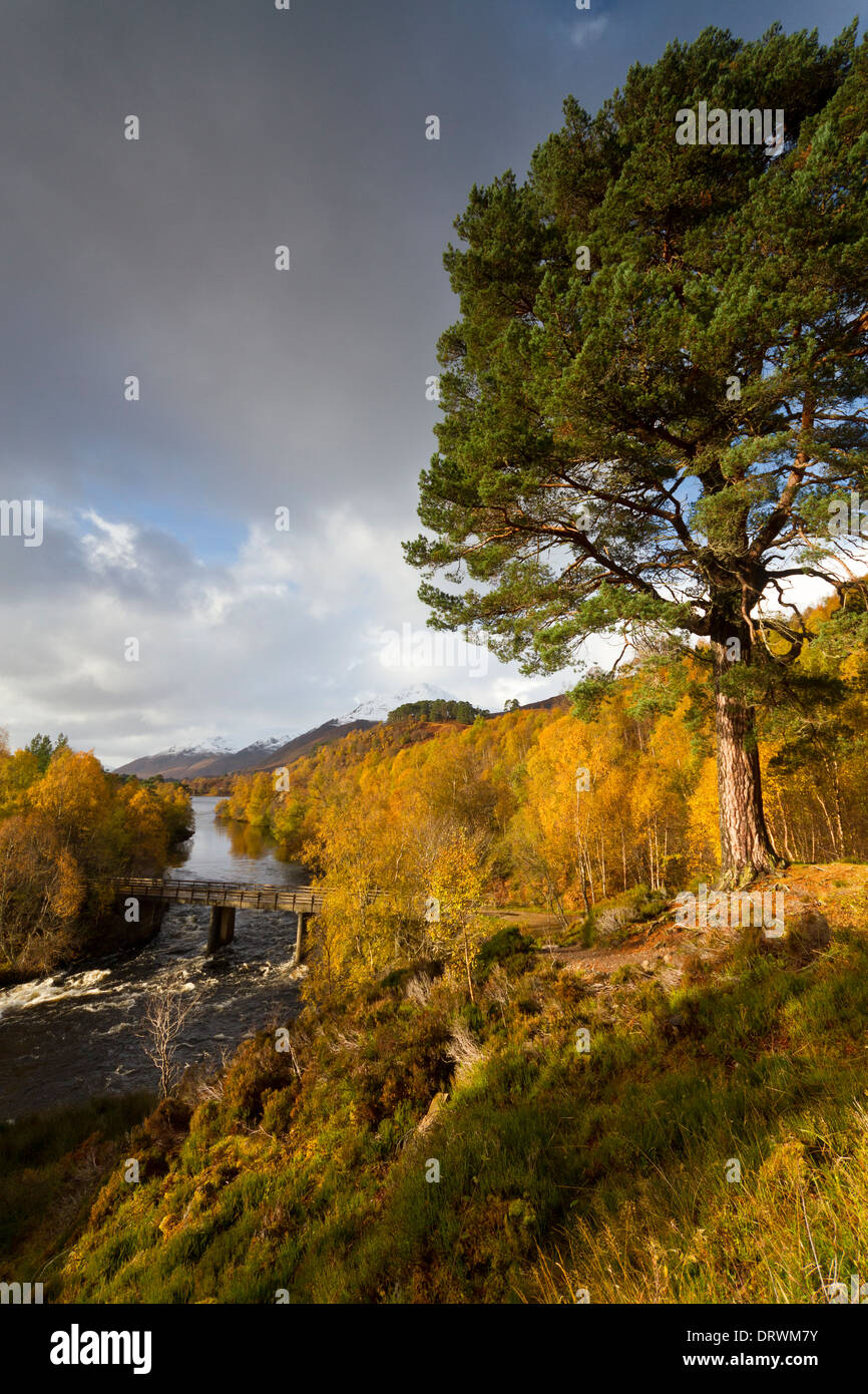 L'Écosse, Glen Affric Banque D'Images