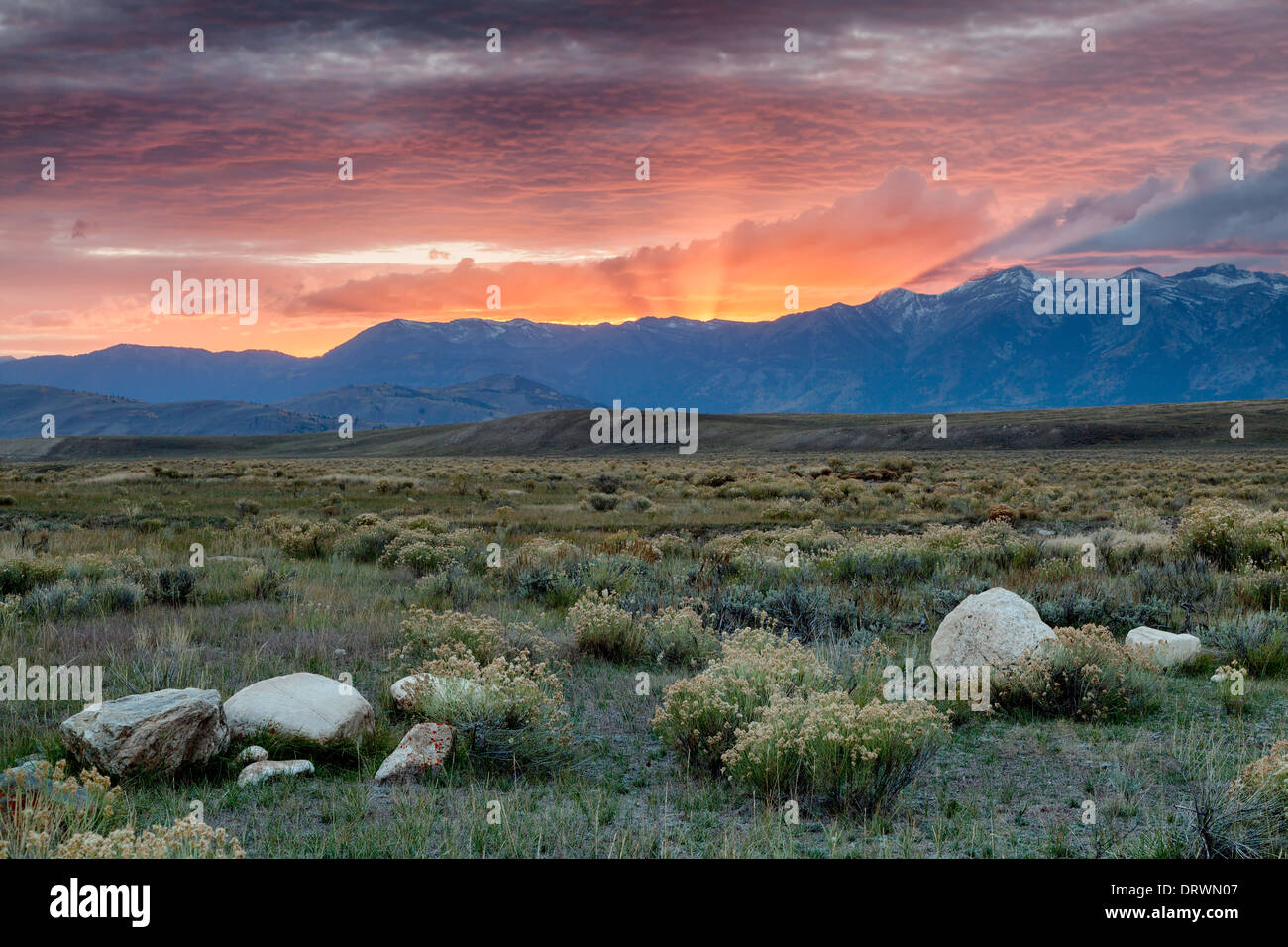 High Desert Sunset Banque D'Images